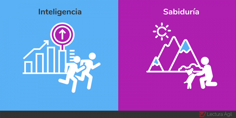 Inteligencia Vs Sabidur Alas Diferencias Lectura Gil